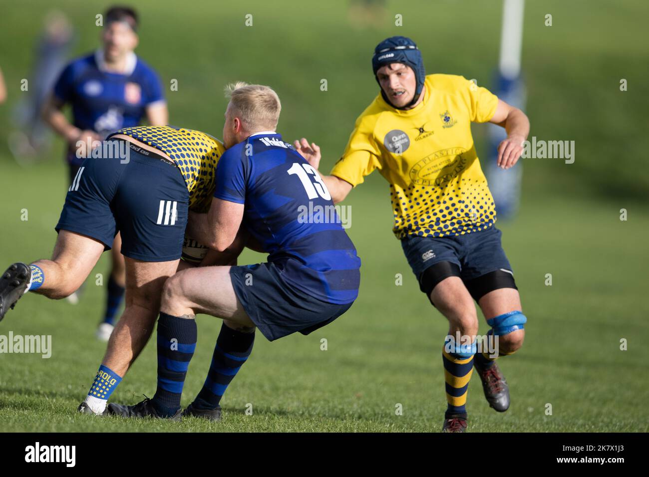 rugby-Spiel, Rugby-Spieler, Rugby-Team, Rugby-Ballrugby-Angriff, Rugby-Scrum, Rugby-Spieler, Rugby-Spielfeld, Rugby-Ball, Rugby-Team-Spiel, Angriff, Scrum, Angriff, zu Stockfoto