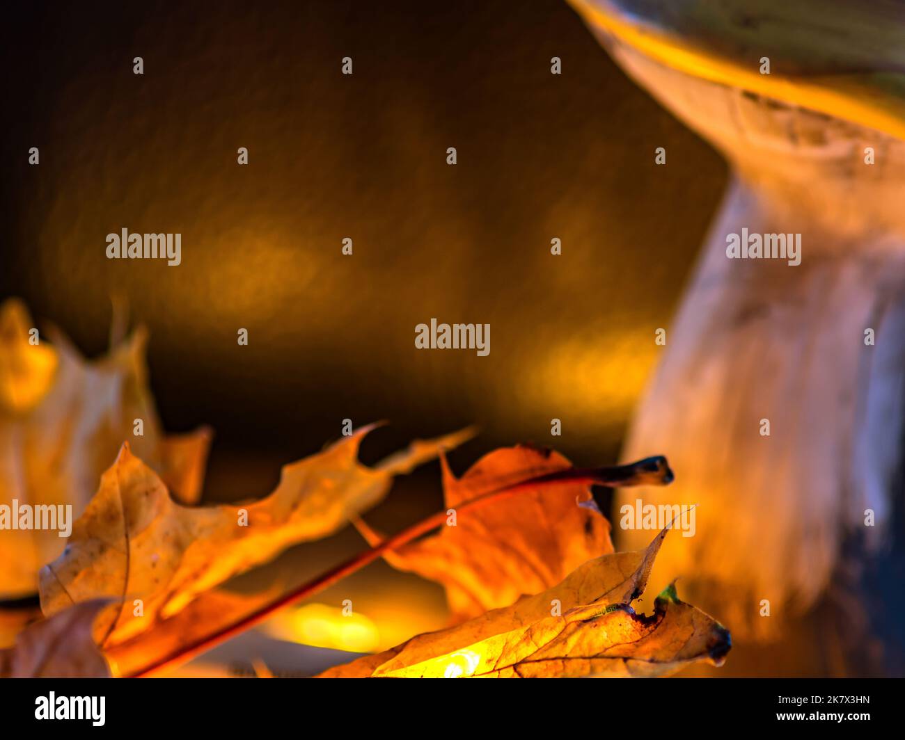 KONZEPT HERBST : HERBSTDEKORATION Stockfoto