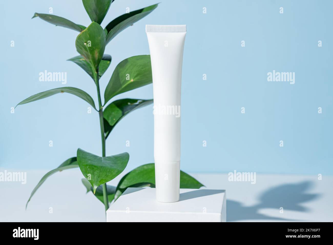 Ästhetisch minimalistisches Beauty Care Therapiekonzept. Bio Augencreme blanck Paket auf weißem Sockel vor blauem Hintergrund. Körper, Haut, Gesicht behandeln Stockfoto