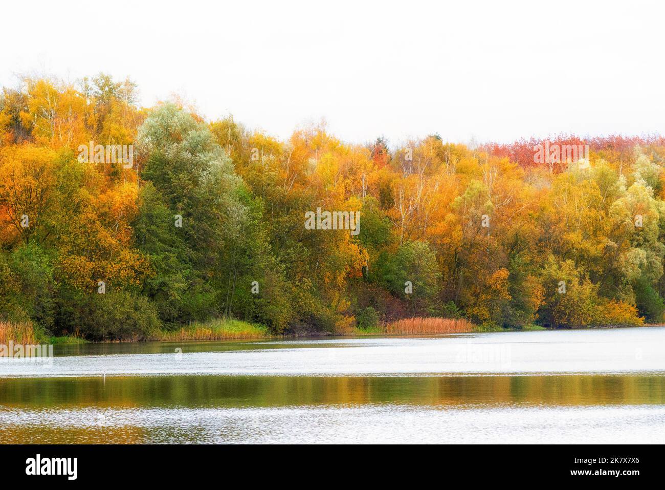 Otto-Maigler-See im Herbst Stockfoto