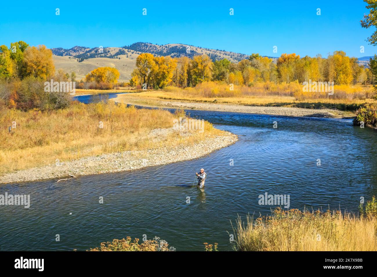 Fliegenfischer im Herbst auf dem clark Fork River bei jens, montana Stockfoto