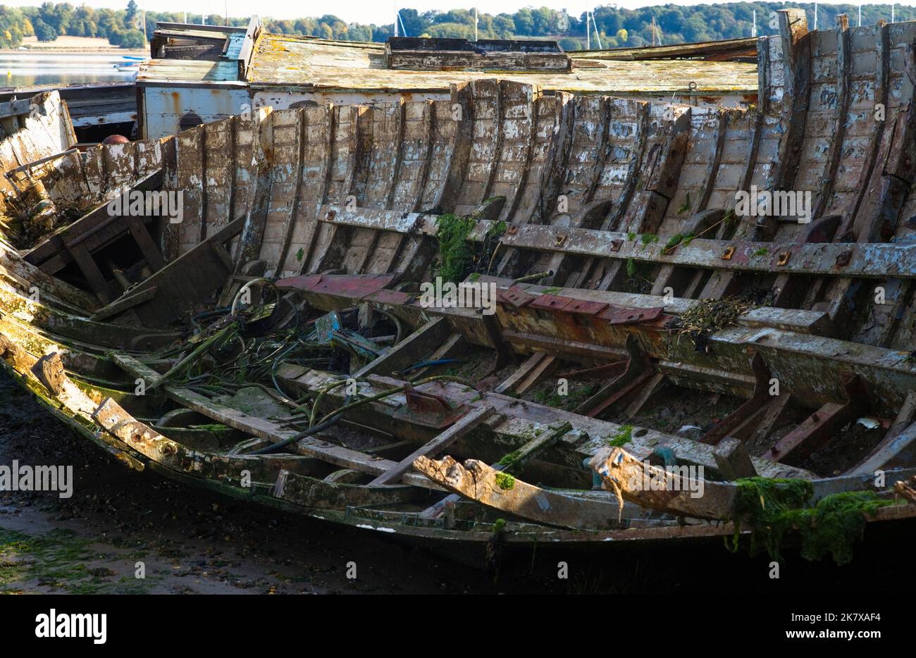 Verrottende hölzerne Segelschiffe in Pin Mill am Fluss Orwell, Surrey Stockfoto