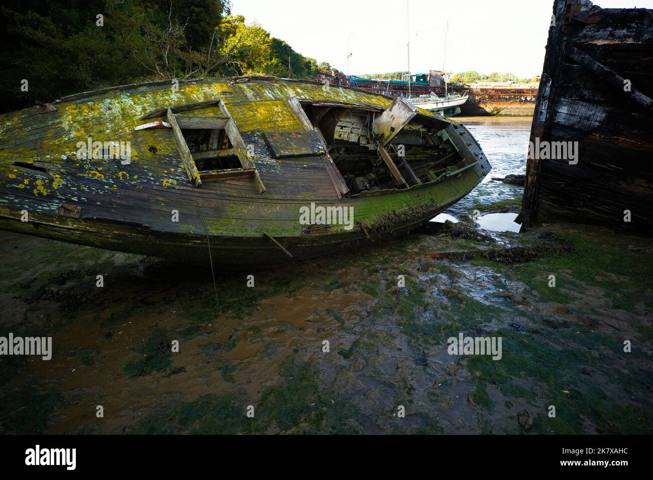 Alte hölzerne Segelyacht, die noch immer auf dem Gezeitenschlamm des Flusses Orwell bei Pin Mill verrottet Stockfoto