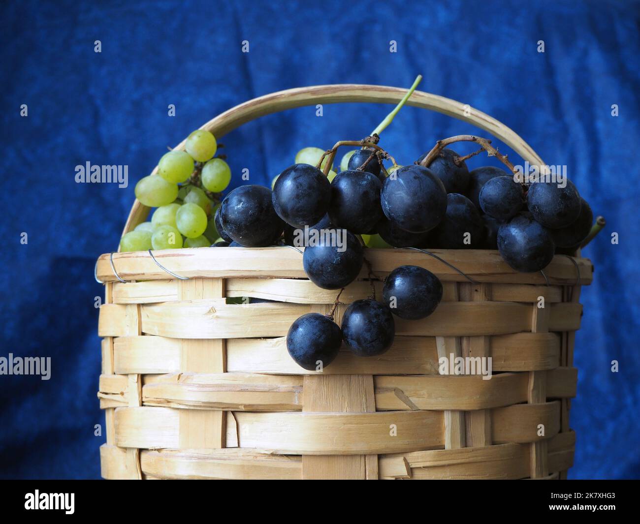 Korb mit Trauben. Trauben sitzen in einem Holzkorb isoliert auf blauem Hintergrund. Trauben im traditionellen türkischen Strickkorb. Stockfoto
