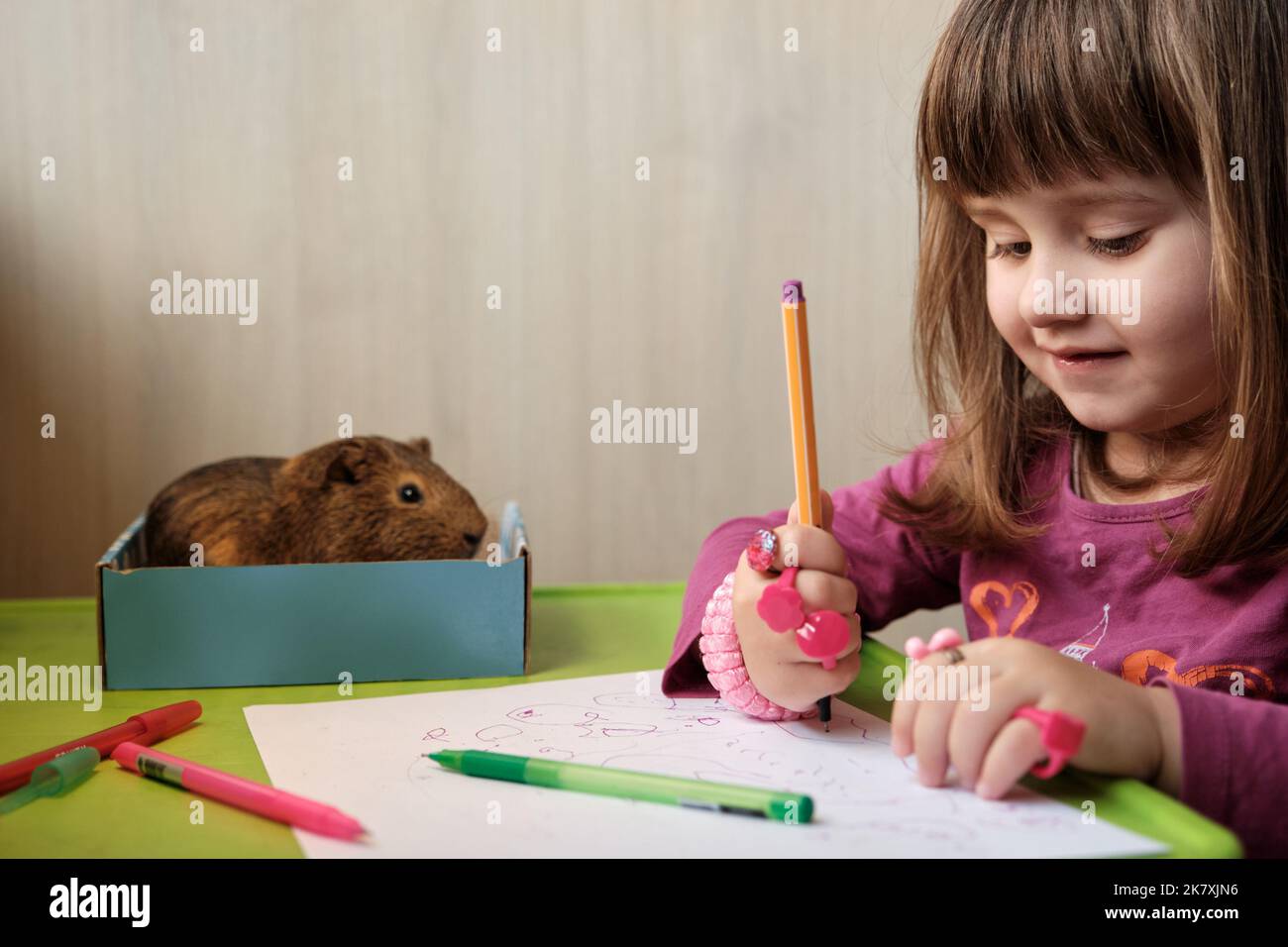 Porträt eines kleinen Mädchens, das zusammen mit einem Meerschweinchen, das neben ihr sitzt, am Tisch zeichnet. Baby Mädchen spielt mit seinem Haustier. Stockfoto