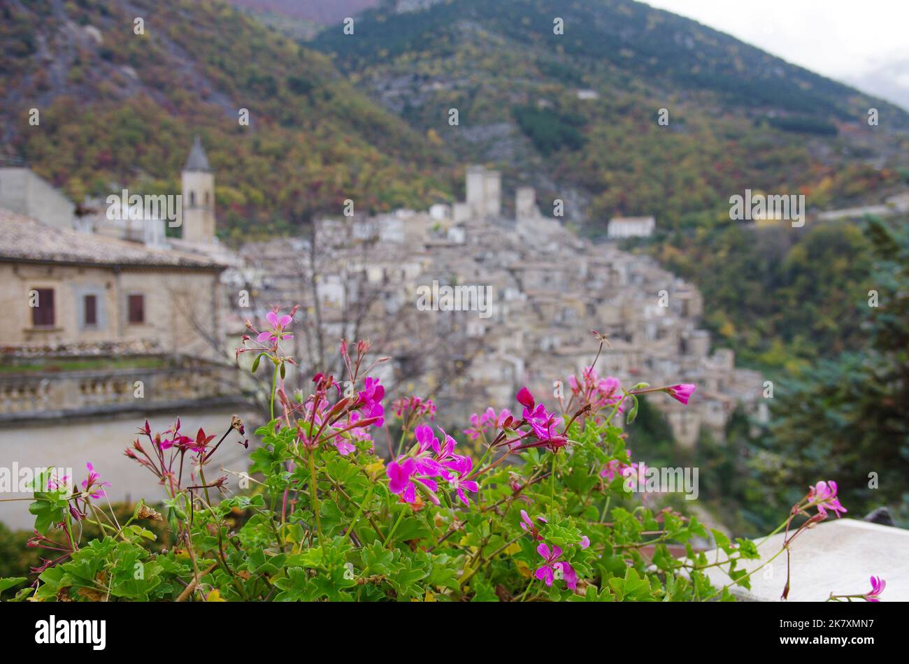 Pacentro (AQ) im Überblick - eines der schönsten Dörfer Italiens: Im Vordergrund eine Geranienpflanze. Stockfoto