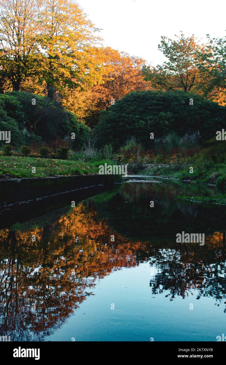 Schöne Reflexion des Parks im Wasser Stockfoto