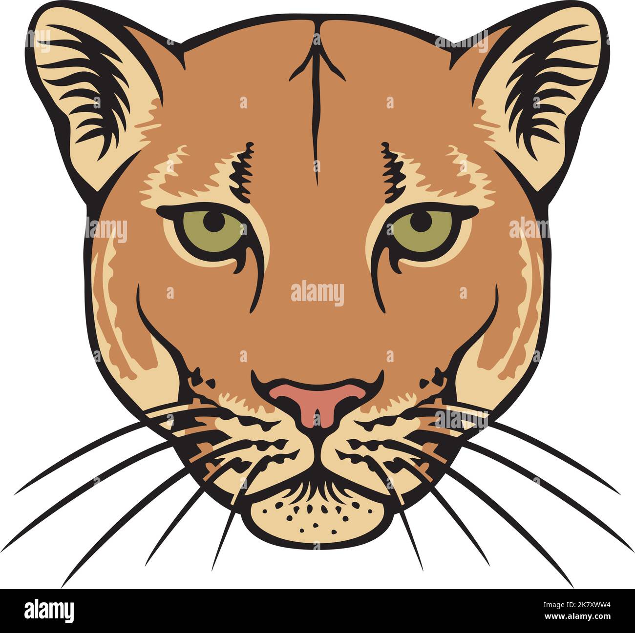 Abbildung Der Vektorgrafik Für Die Farbe Des Puma-Kopfes Stock Vektor