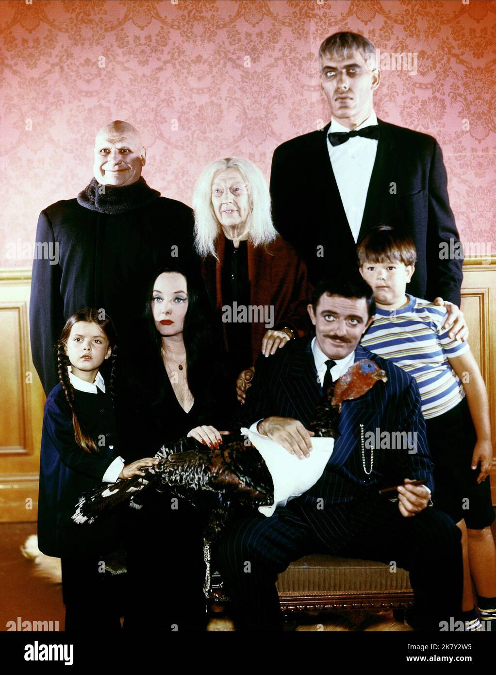 Jackie Coogan, Marie Blake, Ted Cassidy, Lisa Loring, Carolyn Jones, John Astin & Ken Weatherwax Television: The Addams Family (TV-Serie) Charaktere: Onkel Fester Frump, Grandmama Addams, Lurch, Wednesday Addams, Morticia Frump Addams, Gomez Addams, Pugsley Addams USA 1964-1966, 18. September 1964 **WARNUNG** Dieses Foto ist nur für redaktionelle Verwendung bestimmt und unterliegt dem Copyright von ABC und/oder dem von der Film- oder Produktionsfirma beauftragten Fotografen und kann nur durch Publikationen im Zusammenhang mit der Bewerbung des oben genannten Films reproduziert werden. Eine obligatorische Gutschrift an ABC ist erforderlich. Die Photographie Stockfoto