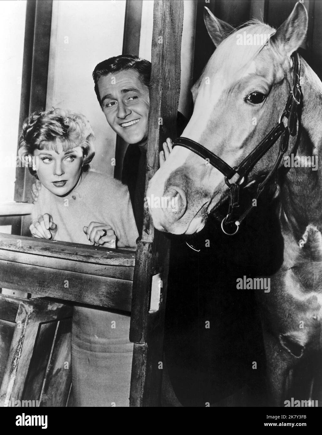 Connie Hines, Alan Young & Mister Ed Television: Mister Ed (TV-Serie) Charaktere: Carol Post, Wilbur Post (145 Folgen, 1958-1966) USA 1958-1966, 05. Januar 1961 **WARNUNG** Dieses Foto ist nur für redaktionelle Verwendung bestimmt und unterliegt dem Copyright von CBS und/oder dem von der Film- oder Produktionsfirma beauftragten Fotografen und kann nur durch Publikationen im Zusammenhang mit der Bewerbung des oben genannten Films reproduziert werden. Eine obligatorische Gutschrift an CBS ist erforderlich. Der Fotograf sollte auch bei Bekanntwerden des Fotos gutgeschrieben werden. Ohne schriftliche Genehmigung von t kann keine kommerzielle Nutzung gewährt werden Stockfoto