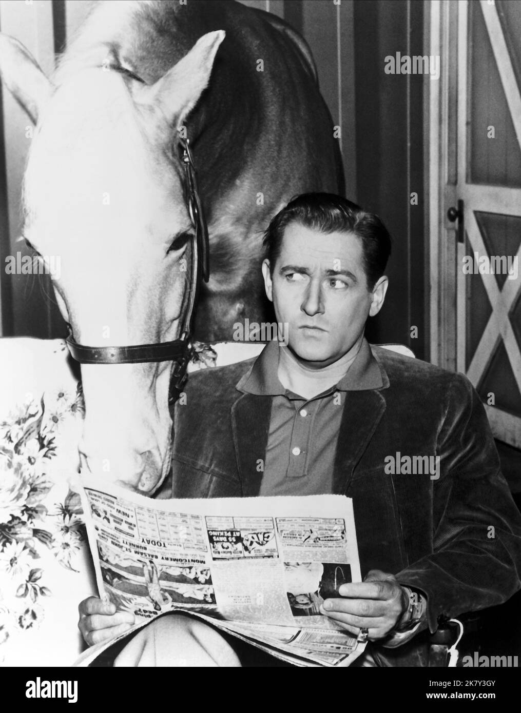 Mister Ed & Alan Young Television: Mister Ed (TV-Serie) Charaktere (145 Folgen, 1958-1966), Wilbur Post USA 1958-1966, 05. Januar 1961 **WARNUNG** Dieses Foto ist nur für redaktionelle Verwendung bestimmt und unterliegt dem Copyright von CBS und/oder dem von der Film- oder Produktionsfirma beauftragten Fotografen und kann nur durch Publikationen im Zusammenhang mit der Bewerbung des oben genannten Films reproduziert werden. Eine obligatorische Gutschrift an CBS ist erforderlich. Der Fotograf sollte auch bei Bekanntwerden des Fotos gutgeschrieben werden. Ohne schriftliche Genehmigung der Film Company kann keine kommerzielle Nutzung gewährt werden. Stockfoto