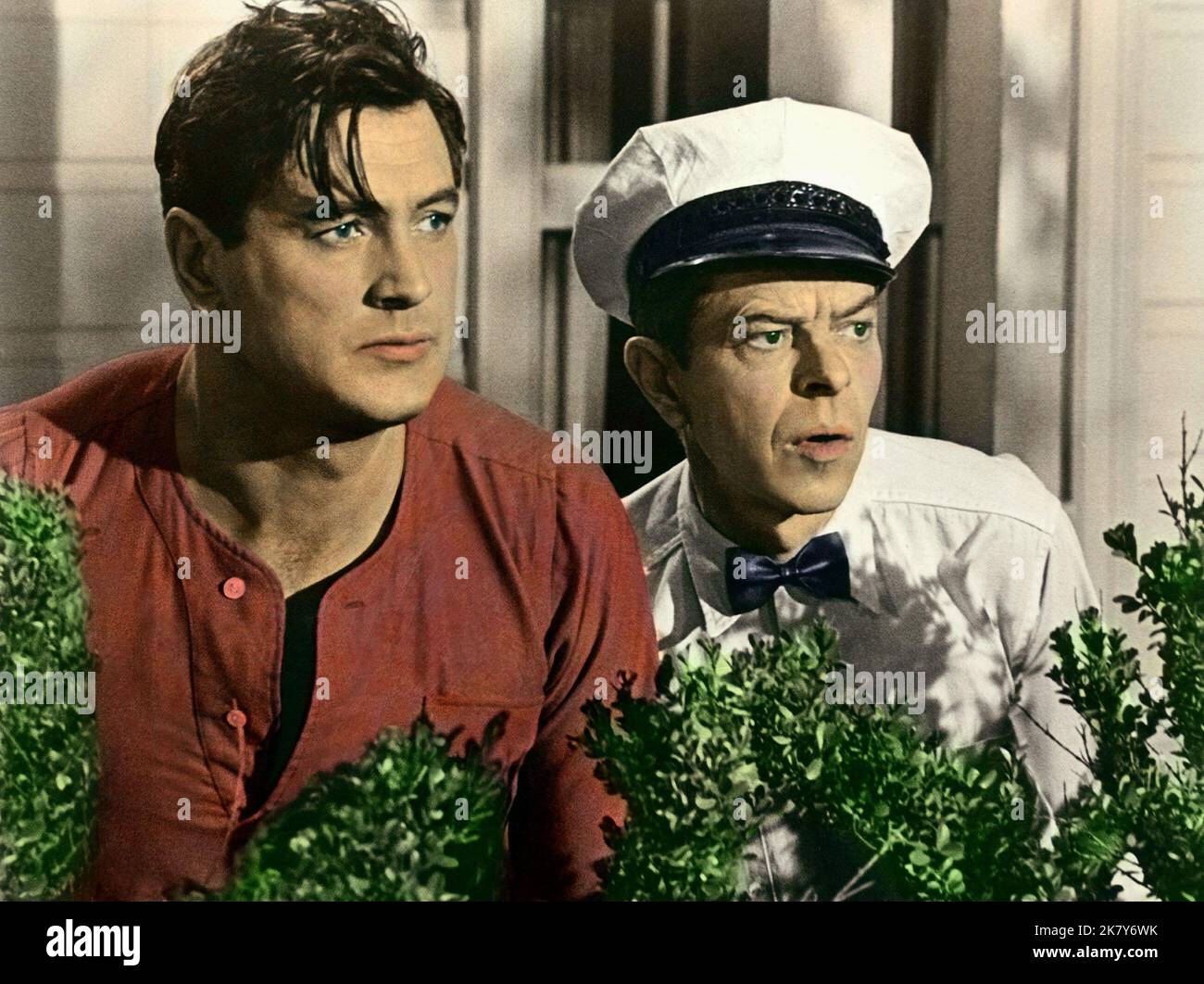 Rock Hudson & Dave Willock Film Send Me No Flowers (USA 1964) Charaktere: George & Milkman Ernie Regie: Norman Jewison 14. Oktober 1964 **WARNUNG** dieses Foto ist nur für redaktionelle Zwecke bestimmt und unterliegt dem Copyright von UNIVERSAL PICTURES und/oder dem Fotografen, der von der Film or Production Company zugewiesen wurde. Es kann nur durch Veröffentlichungen in Verbindung mit der Werbung für den oben genannten Film reproduziert werden. Eine obligatorische Gutschrift für UNIVERSELLE BILDER ist erforderlich. Der Fotograf sollte ebenfalls angerechnet werden, wenn er bekannt ist. Ohne schriftliche Genehmigung der Film Company kann keine kommerzielle Nutzung gewährt werden. Stockfoto