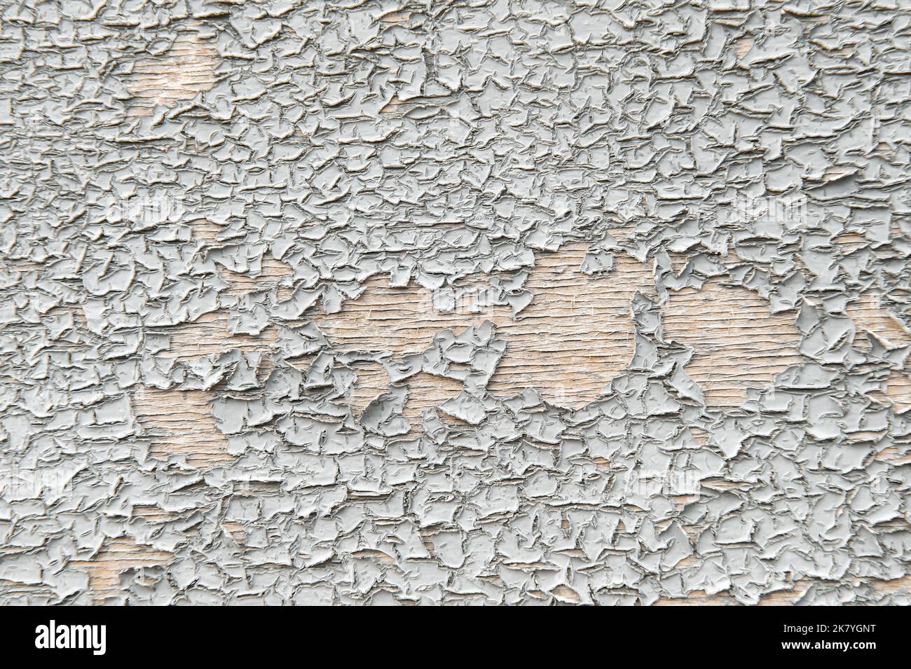 Pille aus grauer Wand mit Rissen. Gerissene verwitterte Textur Hintergrund Stockfoto
