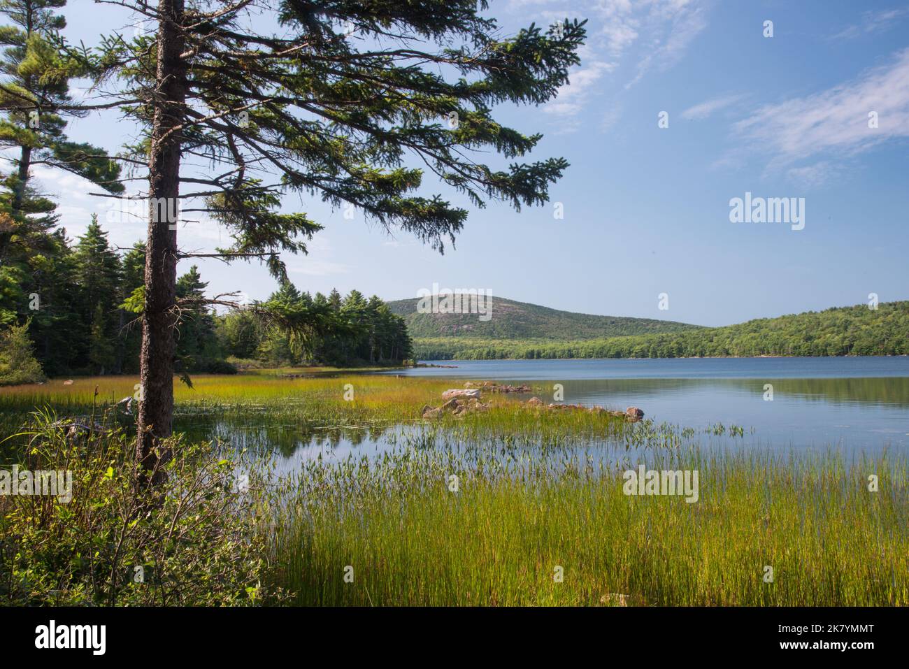 Eagle Lake Shoreline mit Connors Nubble Mountain im Hintergrund, Acadia National Park, Mount Desert Island, Maine, USA Stockfoto