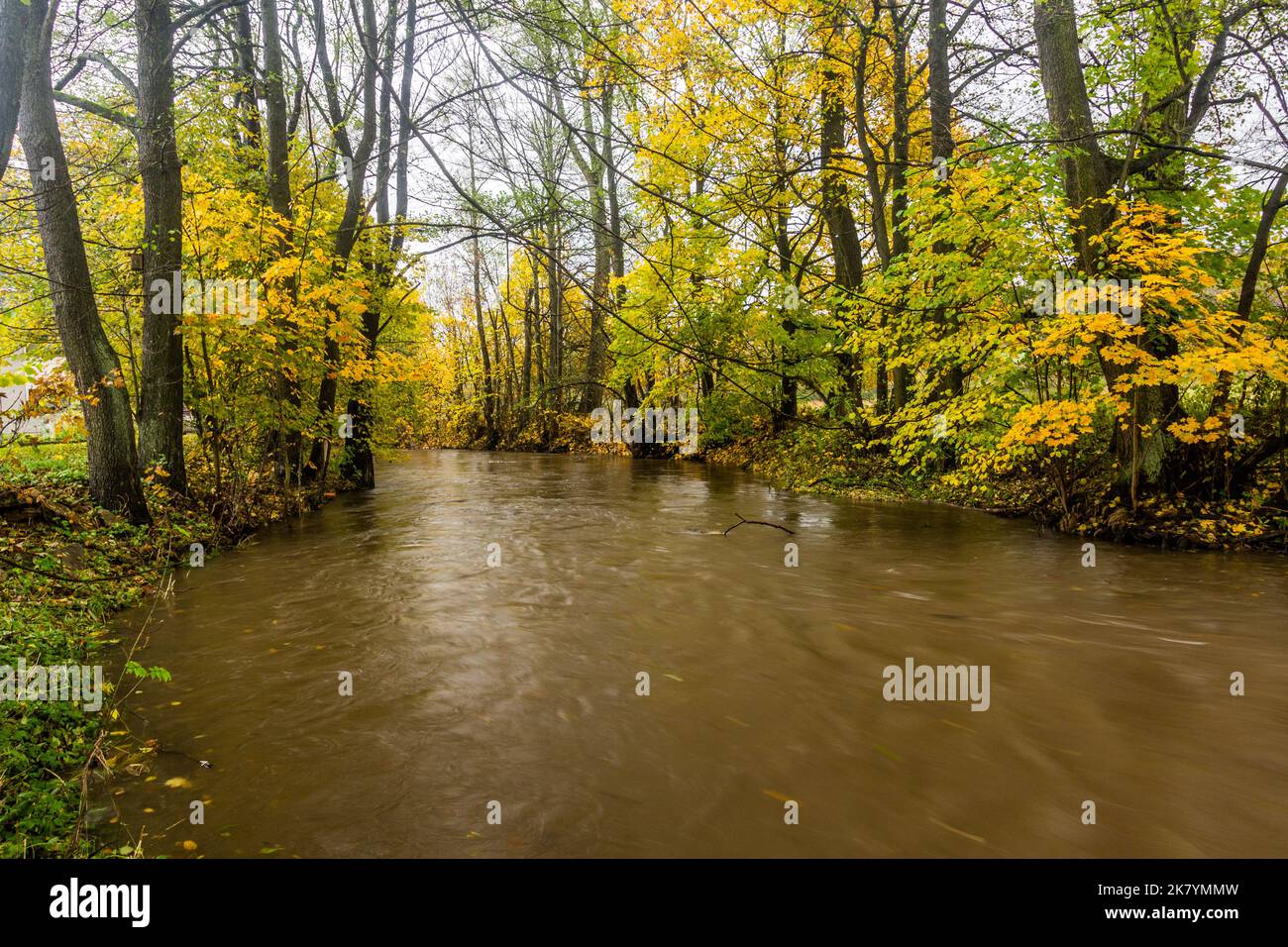 Ticha Orlice Fluss in der Tschechischen Republik Stockfoto