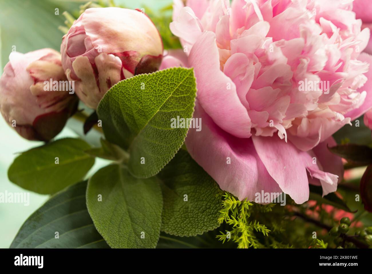WA22417-00...WASHINGTON - Blätter und Blumen in einem Blumenarrangement fotografiert mit einem Lensbaby Velvet 35. Stockfoto