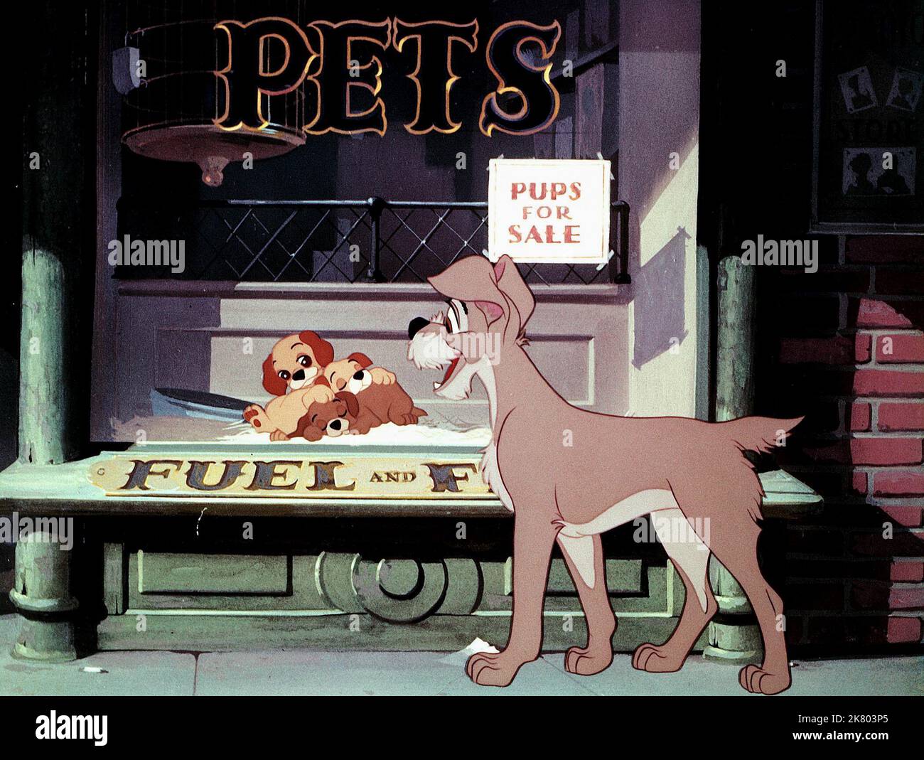 Tramp & Puppies Film: Lady and the Tramp (USA 1955) Charaktere: Tramp & Regie: Clyde Geronimi, Wilfred Jackson, Hamilton Luske, Regie: C Geronimi, W Jackson, H Luske 16 June 1955 **WARNUNG** Dieses Foto ist nur für redaktionelle Zwecke bestimmt und unterliegt dem Copyright von DISNEY und/oder dem Fotografen, der von der Film- oder Produktionsfirma beauftragt wurde, und kann nur von Publikationen im Zusammenhang mit der Bewerbung des oben genannten Films reproduziert werden. Eine obligatorische Gutschrift an DISNEY ist erforderlich. Der Fotograf sollte auch bei Bekanntwerden des Fotos gutgeschrieben werden. Ohne schriftliche Genehmigung des Films kann keine kommerzielle Nutzung gewährt werden Stockfoto