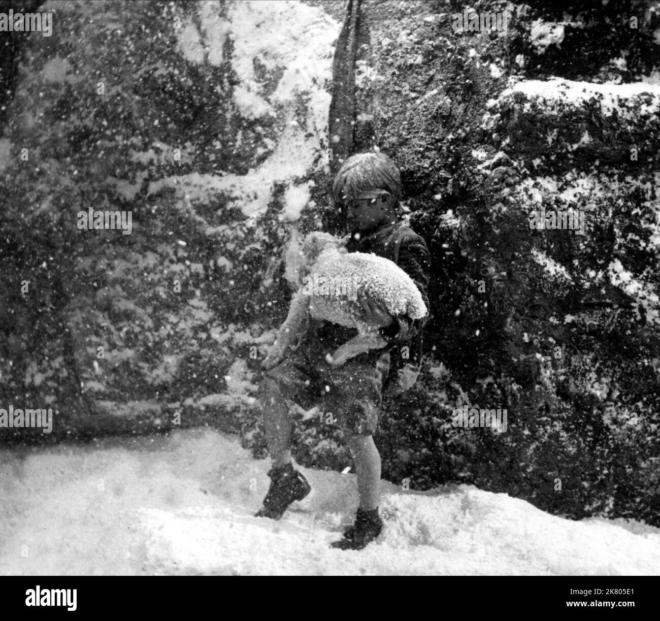 Richard Williams & Lamb Film Heart of A Child (1958) Charaktere: Karl & Regie: Clive Donner 01. Mai 1958 **WARNUNG** dieses Foto ist nur für redaktionelle Zwecke bestimmt und unterliegt dem Urheberrecht der RANGORGANISATION und/oder des Fotografen, der von der Film- oder Produktionsgesellschaft beauftragt wurde. Es kann nur durch Veröffentlichungen in Verbindung mit der Werbung für den oben genannten Film reproduziert werden. Eine obligatorische Gutschrift für DIE RANGORGANISATION ist erforderlich. Der Fotograf sollte ebenfalls angerechnet werden, wenn er bekannt ist. Ohne schriftliche Genehmigung der Film Company kann keine kommerzielle Nutzung gewährt werden. Stockfoto