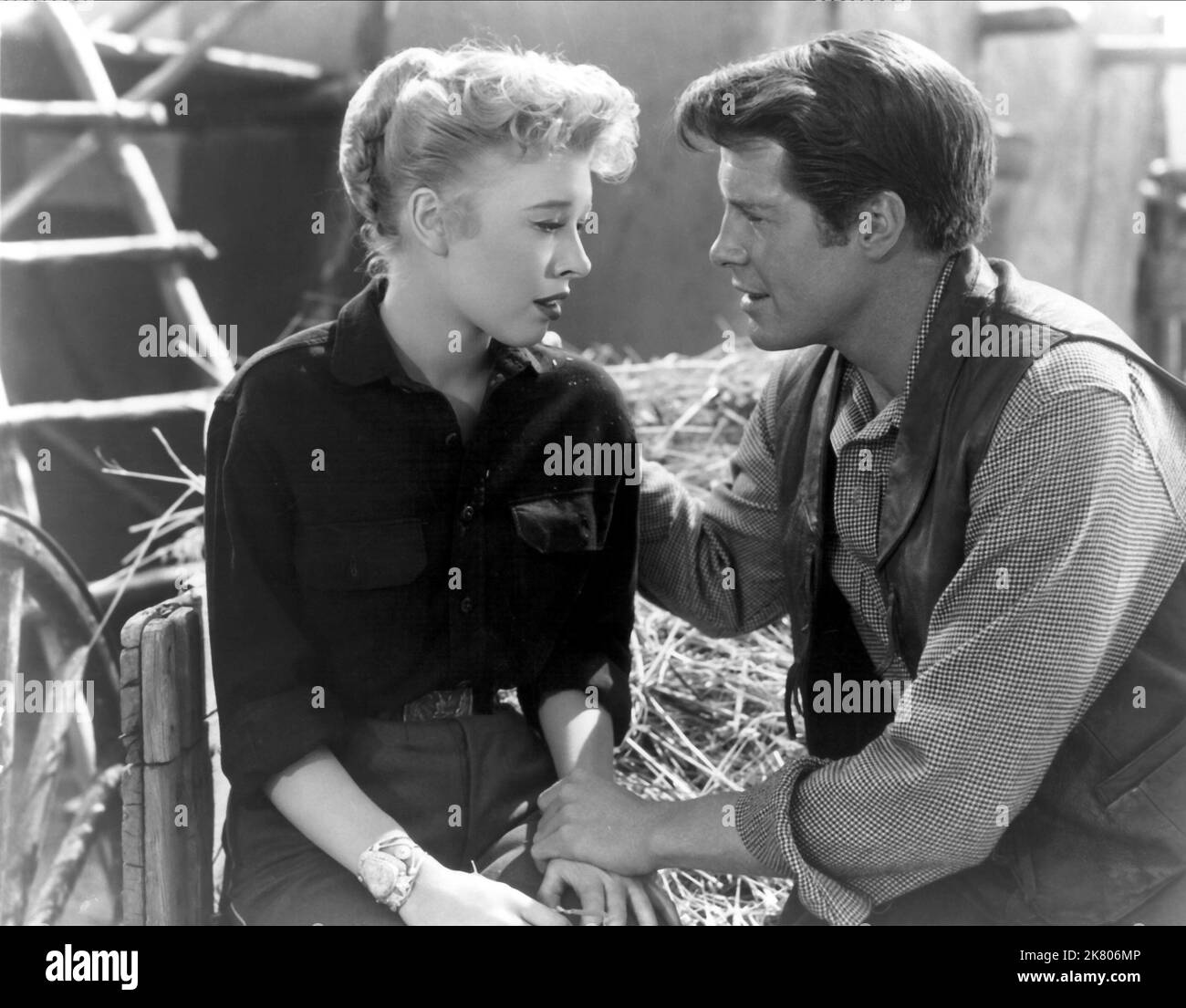 Barbara Ruick & Robert Horton Film: Apache War Smoke (1952) Charaktere: Nancy Dekker, Tom Herrera Regie: Harold F. Kress 25. September 1952 **WARNUNG** Dieses Foto ist nur für redaktionelle Zwecke bestimmt und unterliegt dem Copyright von MGM und/oder dem Fotografen, der von der Film- oder Produktionsfirma beauftragt wurde, und kann nur durch Publikationen im Zusammenhang mit der Bewerbung des oben genannten Films reproduziert werden. Eine obligatorische Gutschrift an MGM ist erforderlich. Der Fotograf sollte auch bei Bekanntwerden des Fotos gutgeschrieben werden. Ohne schriftliche Genehmigung der Film Company kann keine kommerzielle Nutzung gewährt werden. Stockfoto