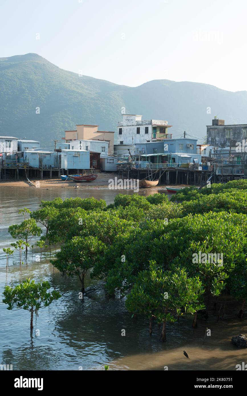 Stelzenhäuser („Pang uk“) und Mangroven bei Ebbe bei spätnachmittags Sonnenlicht, Tai O, Lantau Island, Hong Kong Stockfoto