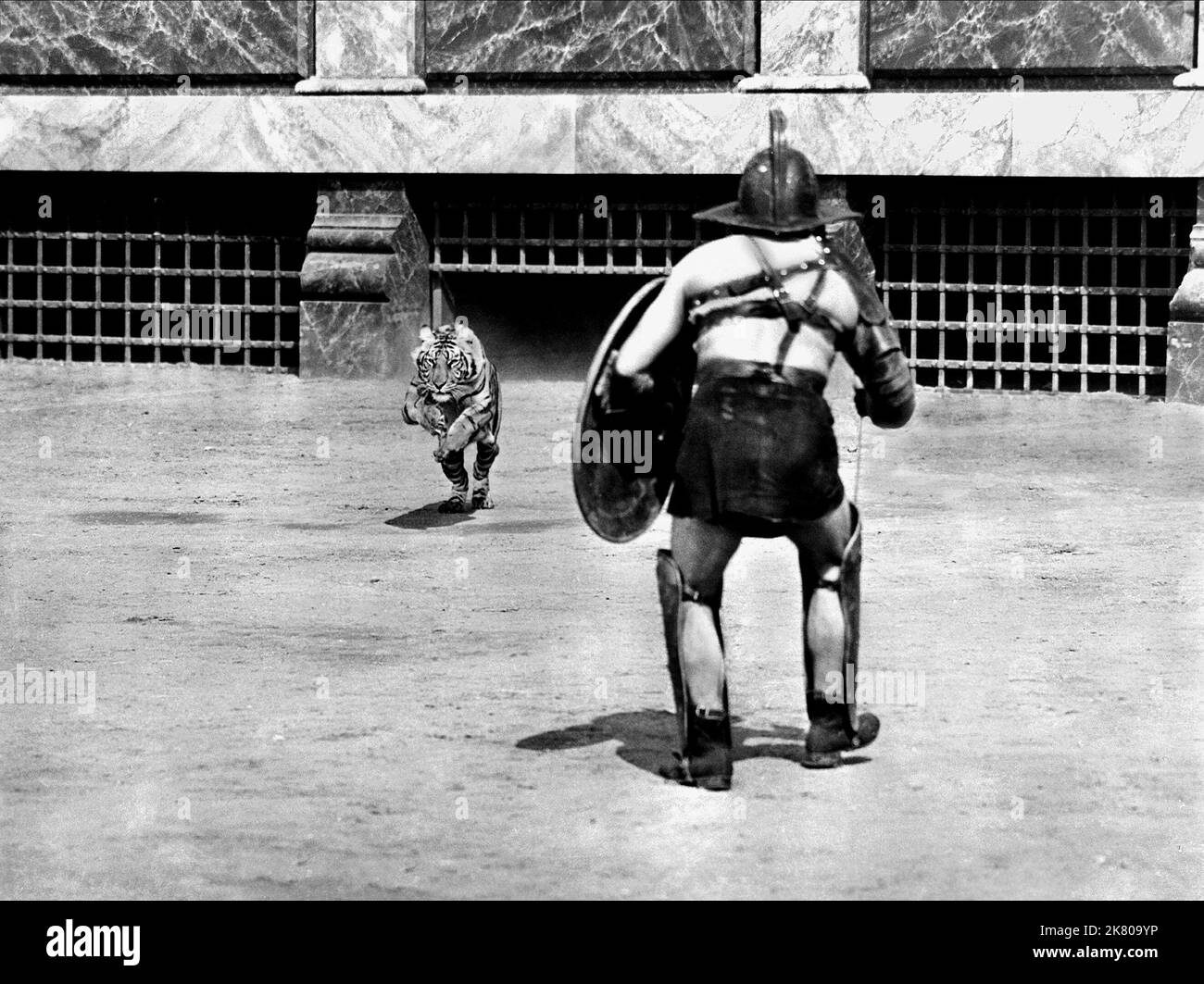 Gladiator & Tiger Film: Demetrius and the Gladiators (USA 1954) Regie: Delmer Daves 16 June 1954 **WARNUNG** Dieses Foto ist nur für den redaktionellen Gebrauch bestimmt und unterliegt dem Copyright von 20. CENTURY FOX und/oder des Fotografen, der von der Film- oder Produktionsfirma beauftragt wurde und darf nur durch Publikationen im Zusammenhang mit der Bewerbung des oben genannten Films reproduziert werden. Eine obligatorische Gutschrift an 20. CENTURY FOX ist erforderlich. Der Fotograf sollte auch bei Bekanntwerden des Fotos gutgeschrieben werden. Ohne schriftliche Genehmigung der Film Company kann keine kommerzielle Nutzung gewährt werden. Stockfoto