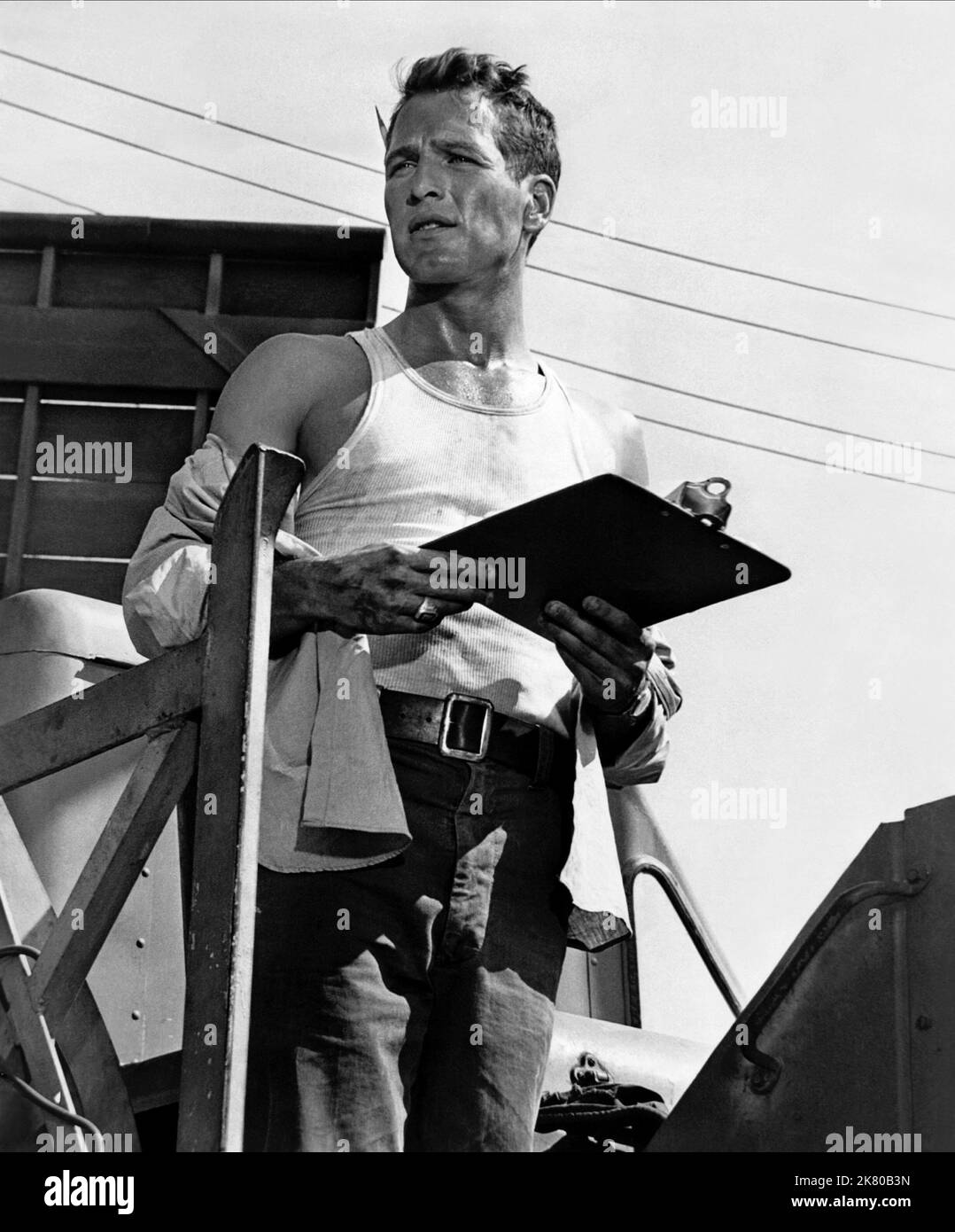 Paul Newman Film The Young Philadelphians; The City Jungle (USA 1959) Charaktere: Anthony Judson Lawrence / Sprecher Regisseur: Victor Saville 21. Mai 1959 **WARNUNG** dieses Foto ist nur für redaktionelle Zwecke bestimmt und ist urheberrechtlich geschützt von WARNER BROS. Und/oder dem von der Film- oder Produktionsgesellschaft beauftragten Fotografen und dürfen nur durch Veröffentlichungen in Verbindung mit der Werbung für den oben genannten Film reproduziert werden. Eine obligatorische Gutschrift an WARNER BROS. Ist erforderlich. Der Fotograf sollte ebenfalls angerechnet werden, wenn er bekannt ist. Ohne schriftliche Genehmigung der Film Company kann keine kommerzielle Nutzung gewährt werden. Stockfoto