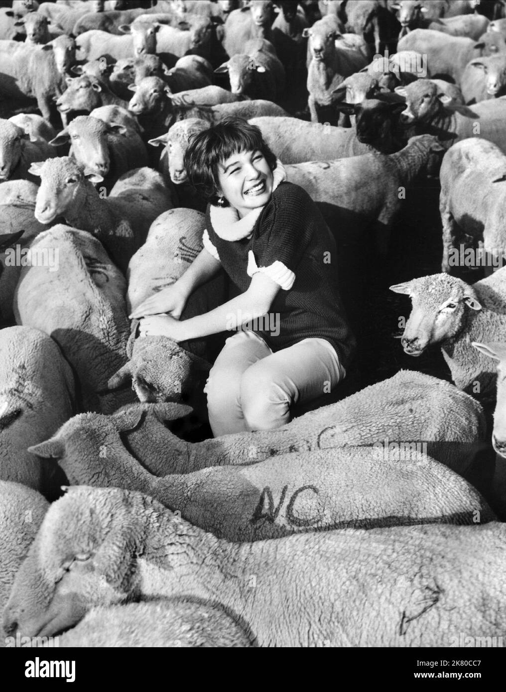 Shirley Maclaine Publicity Shoot Film: The Sheepman (1958) Regie: George Marshall 07 May 1958 **WARNUNG** Dieses Foto ist nur für redaktionelle Zwecke bestimmt und unterliegt dem Copyright von MGM und/oder dem Fotografen, der von der Film- oder Produktionsfirma beauftragt wurde, und kann nur durch Publikationen im Zusammenhang mit der Bewerbung des oben genannten Films reproduziert werden. Eine obligatorische Gutschrift an MGM ist erforderlich. Der Fotograf sollte auch bei Bekanntwerden des Fotos gutgeschrieben werden. Ohne schriftliche Genehmigung der Film Company kann keine kommerzielle Nutzung gewährt werden. Stockfoto