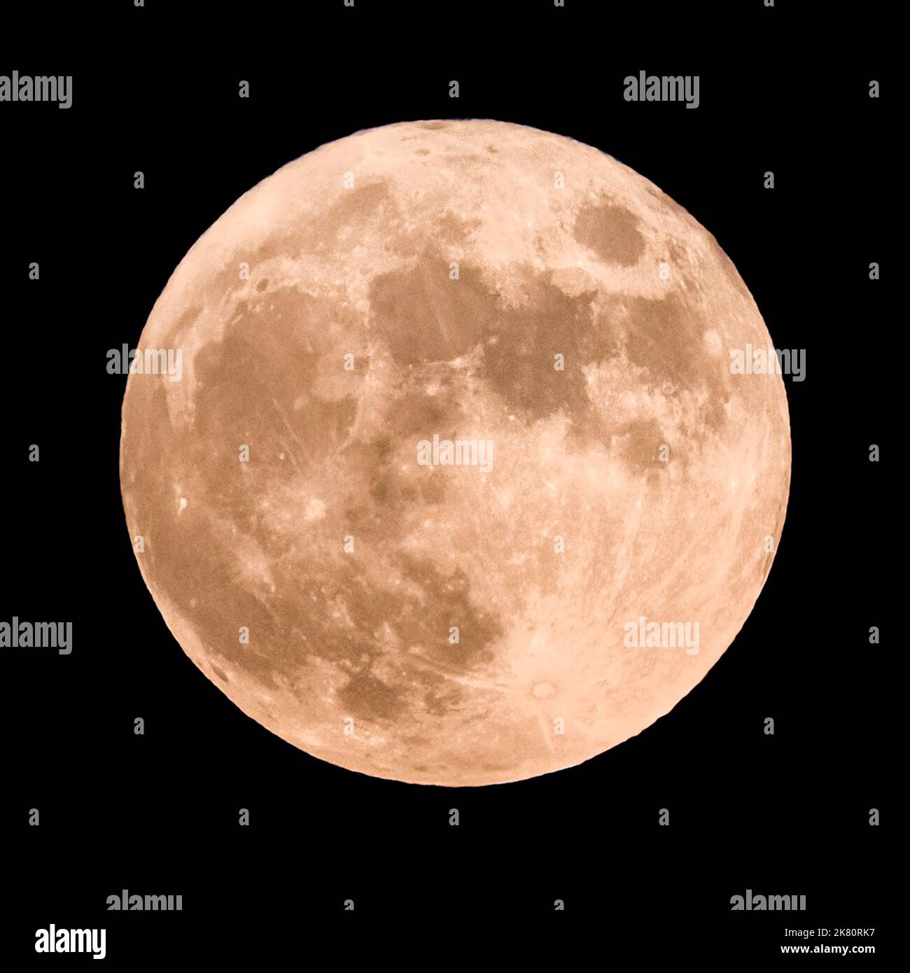 Der Hunter's Moon, der im Oktober oder November erscheinen kann, ist der Vollmond, der dem Harvest Moon folgt. Stockfoto