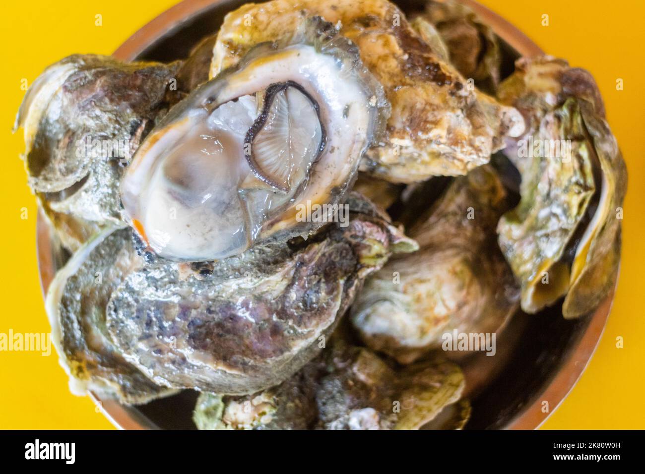 Frisch gedämpfte Austern werden in einem lokalen Restaurant in Bacolod City, Philippinen, serviert Stockfoto