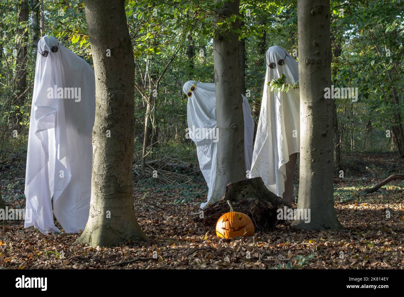 Drei Geister feiern eine Halloween-Party im Wald Stockfoto