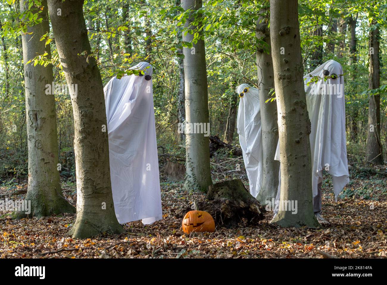 Drei Geister feiern eine Halloween-Party im Wald Stockfoto