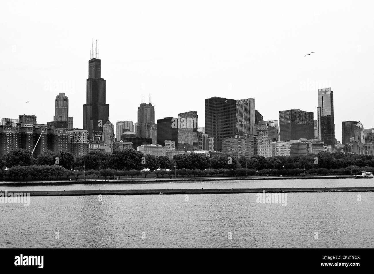 Skyline am Lake Michigan mit Willis Tower; Chicago, Illinois, Vereinigte Staaten von Amerika Stockfoto