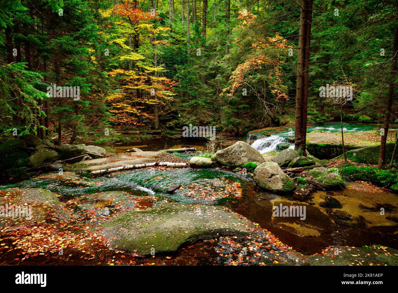 Naturlandschaft. Schöner Herbst Berg wilden Wald Fluss mit Moos bedeckt Steine. Herbstlandschaft im Wald. Landschaft der Natur Stockfoto