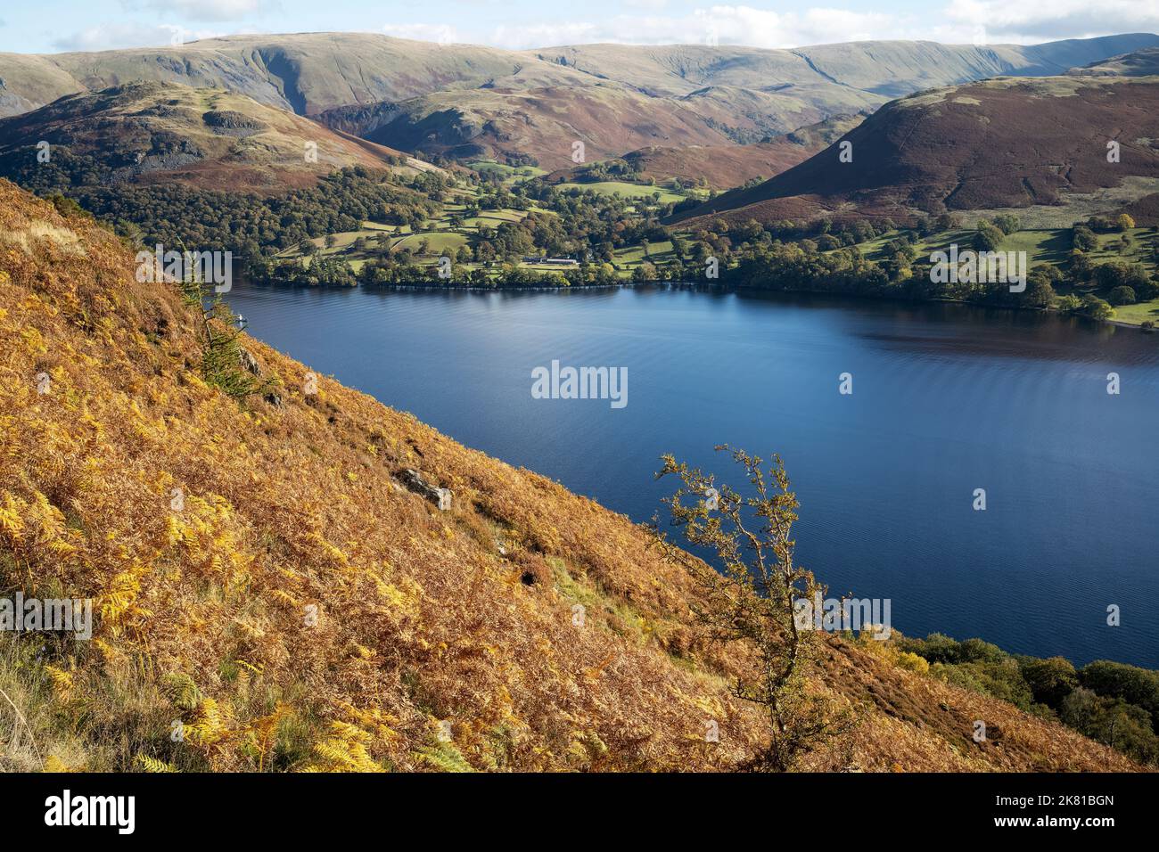 Blick über den Lake Ullswater nach Sandwick vom Gowbarrow Park, Aira Force, Cumbria, Großbritannien Stockfoto