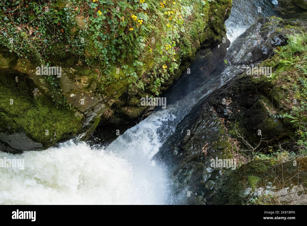 Herbstliches Wasser, das durch die enge Schlucht am Gipfel der Aira Force, Lake Ullswater, Lake District, Cumbria, Großbritannien, stürzt Stockfoto