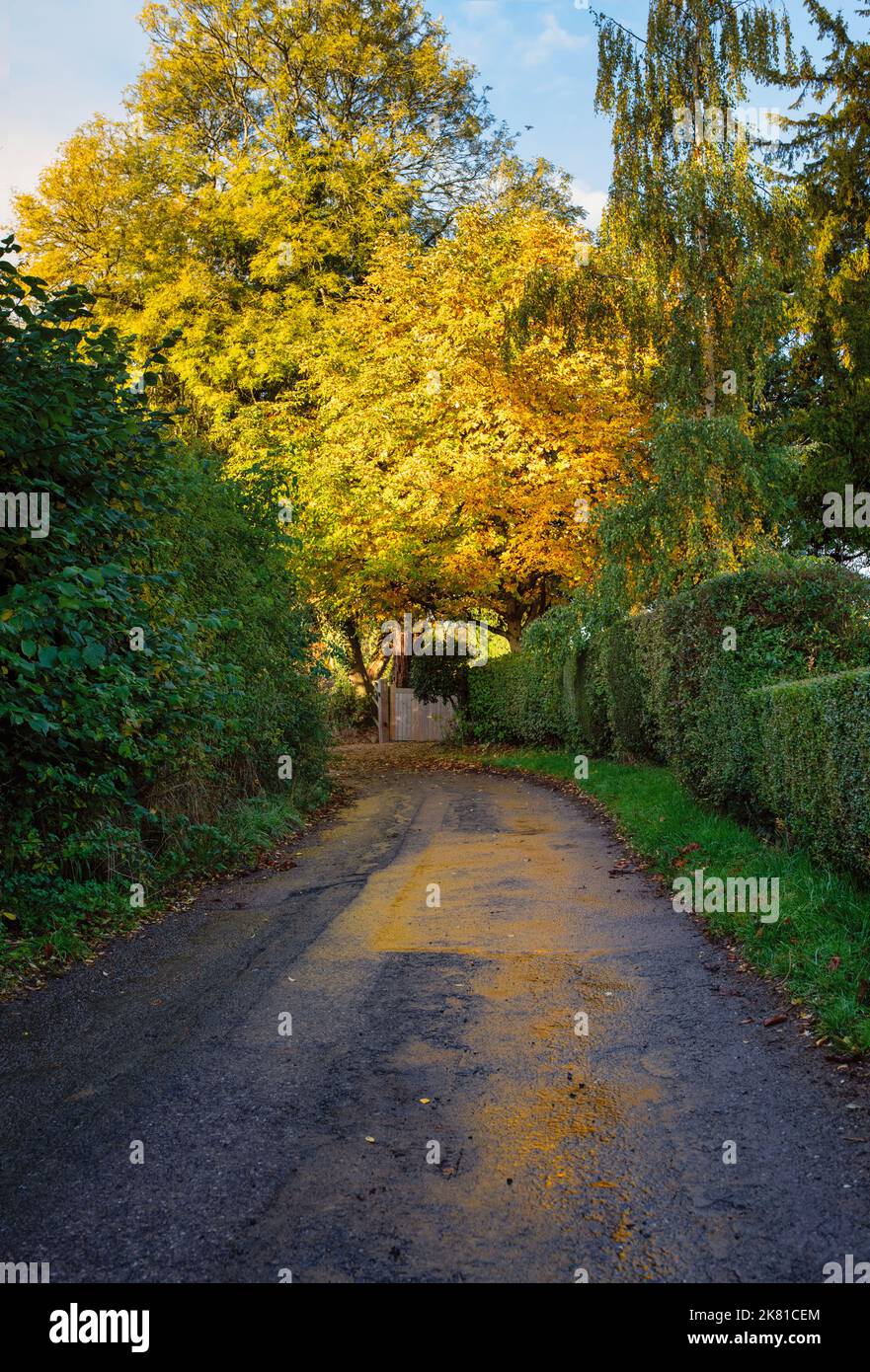 Country Lane im Herbst. Great Tew, Cotswolds, Oxfordshire, England Stockfoto