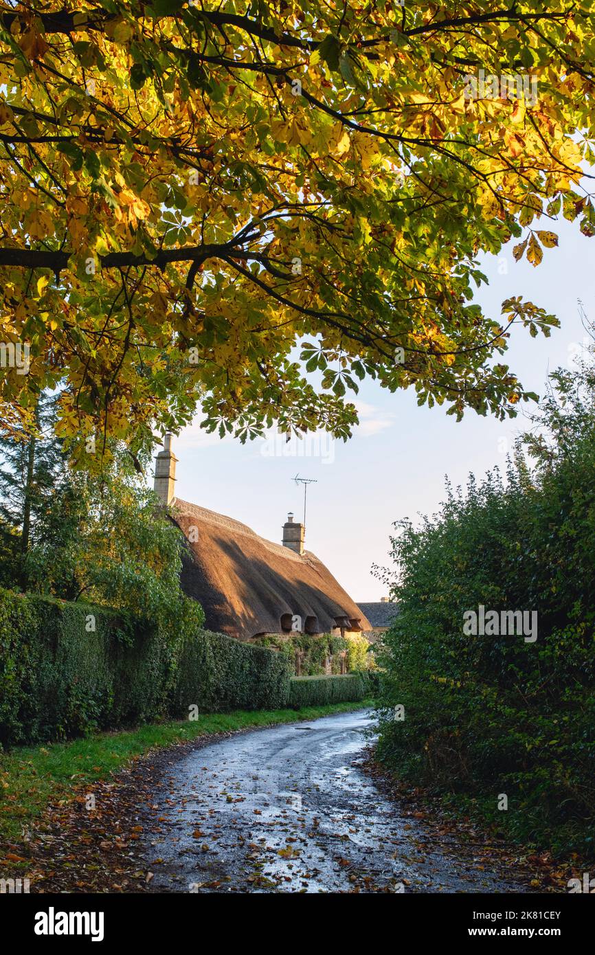 Reethütte im Herbst. Great Tew, Cotswolds, Oxfordshire, England Stockfoto