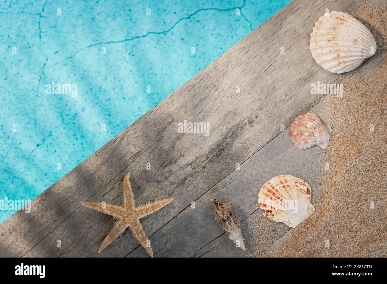 Muscheln von oben auf einem Holzpflaster über einem Pool mit Seesternen gesehen. Atmosphärenurlaub im Sommer. Stockfoto