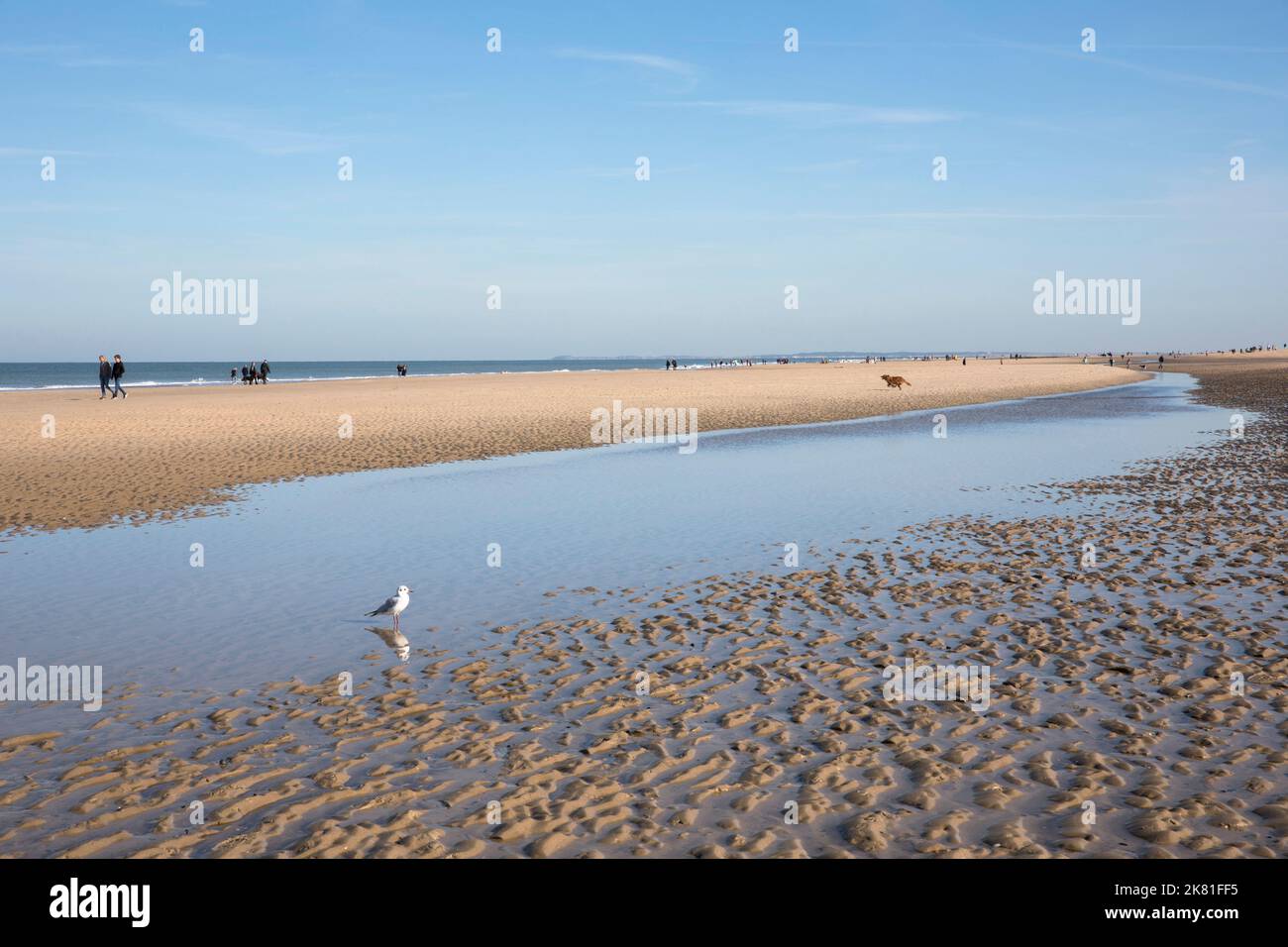 Ein Gezeitenkanal am Strand in Oostkapelle auf der Halbinsel Walcheren, Zeeland, Niederlande. Ein Priel am Strand von Oostkapelle auf Walcheren, Zeela Stockfoto