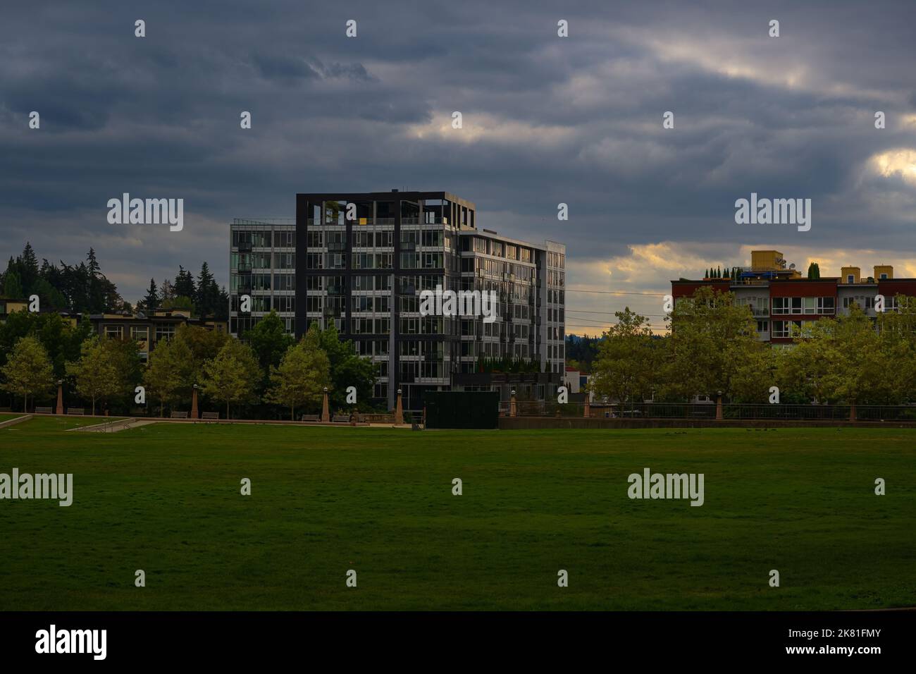 Eine grüne Wiese und Gebäude im Rathauspark in der Innenstadt von Bellevue Stockfoto