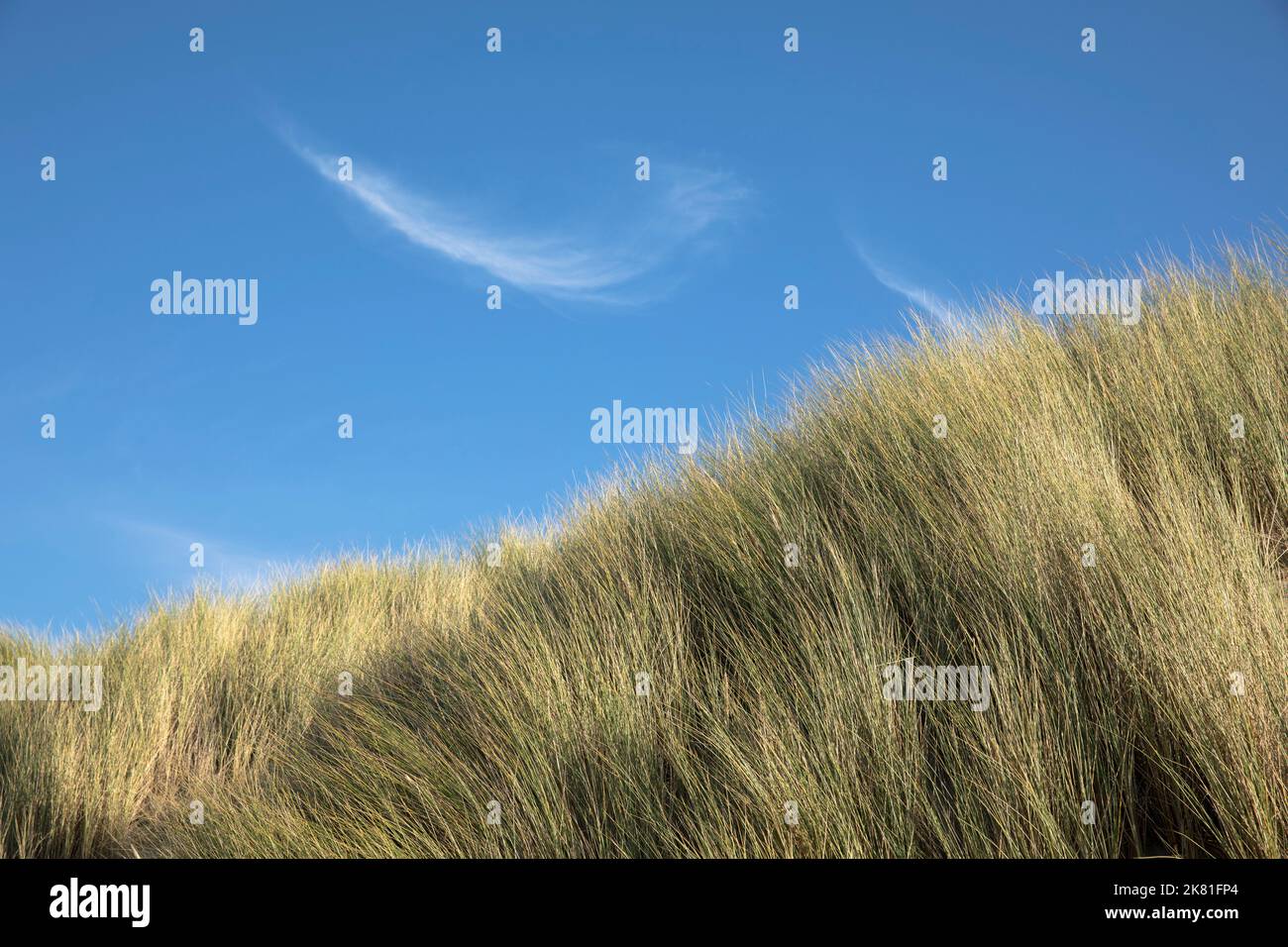 Niederlande, Zeeland, Zirruswolken über Dünen mit Sandstreifen am Strand in Oostkapelle auf der Halbinsel Walcheren. Niederlande, Zeeland, Cirruswo Stockfoto