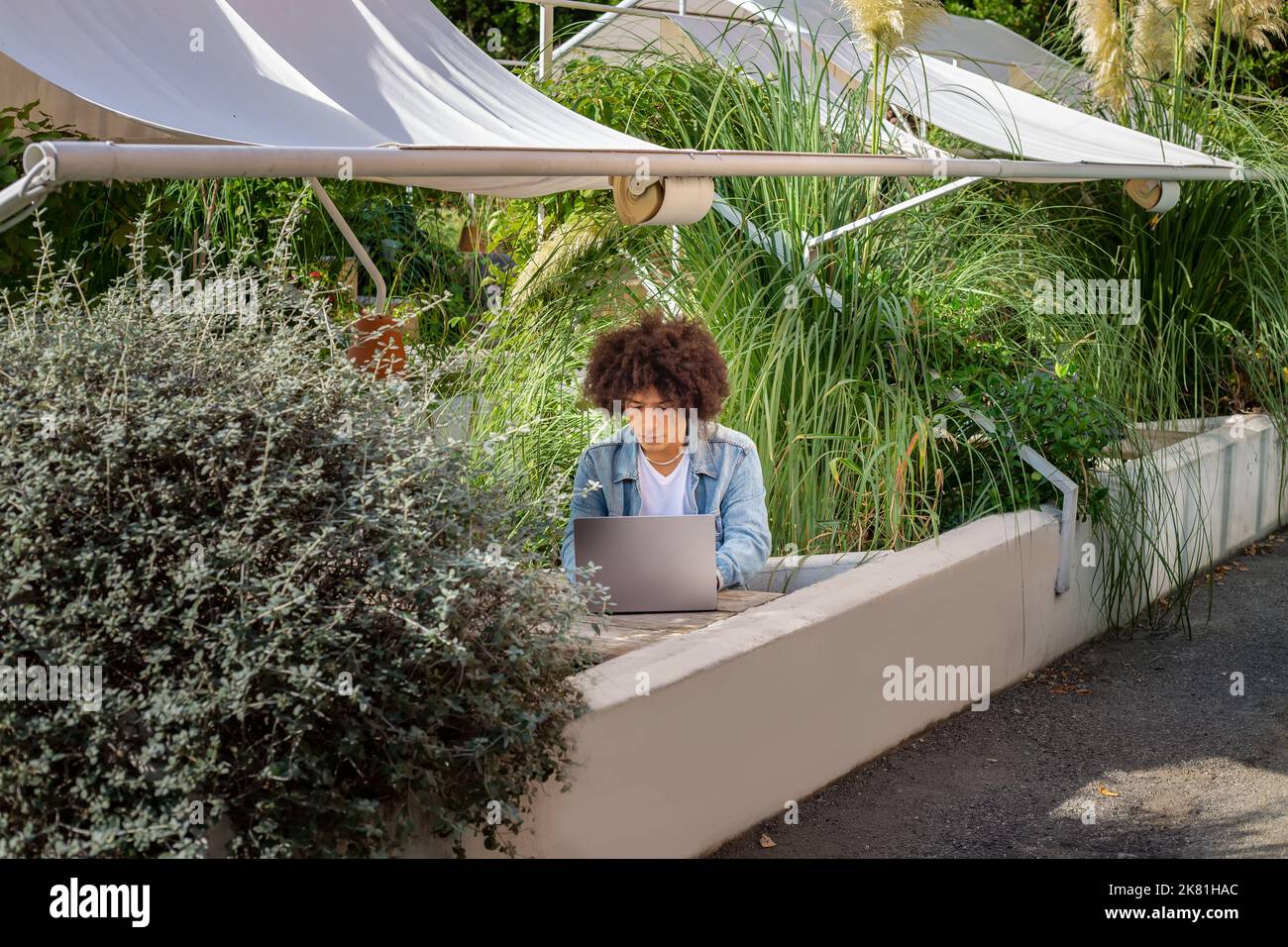 Lächelnder junger ethnischer Typ, 20 Jahre alt, in legerer Kleidung gekleidet, arbeitet auf einem Laptop im Freien, in einer grünen Gegend in der Natur. Grüner Freiraum für Stockfoto