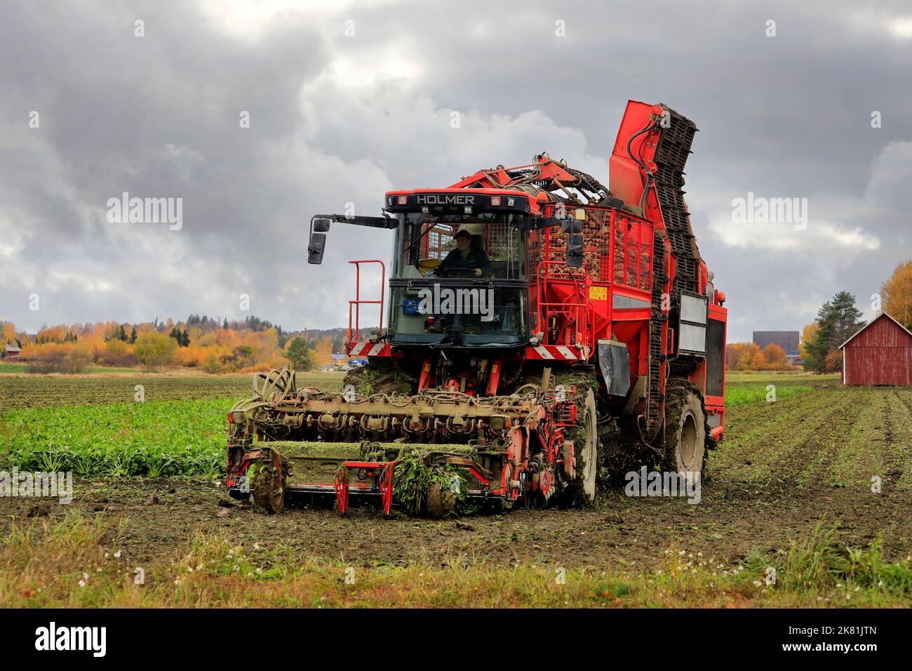 Landwirt im Feld, der Zuckerrüben mit Holmer Terra Dos T3 6-reihiger Rübenerntemaschine erntet. Salo, Finnland. 13. Oktober 2022. Stockfoto