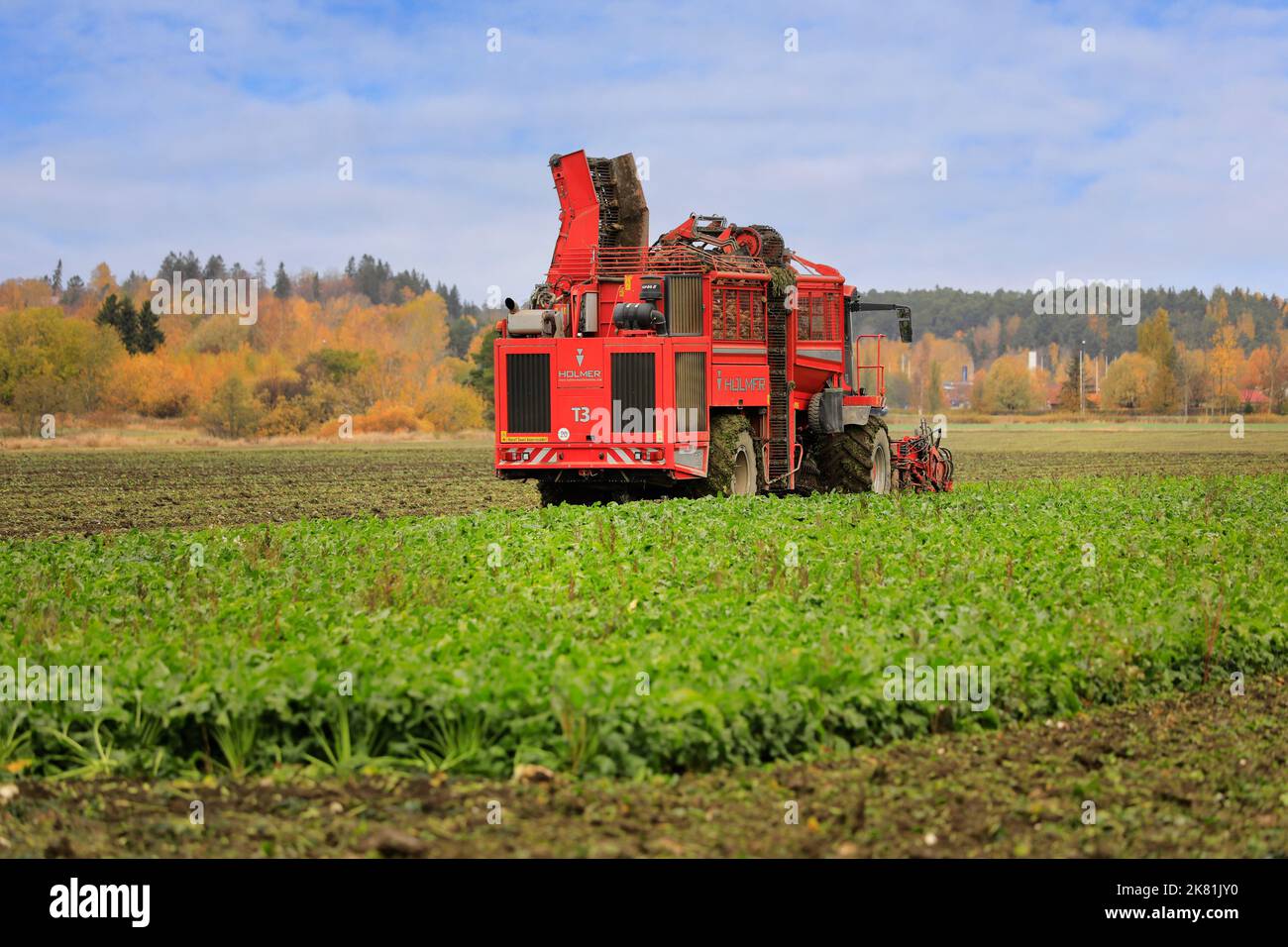 Ernte von Zuckerrüben mit Holmer Terra Dos T3 6-reihiger Rübenerntemaschine an einem Tag im Oktober. Salo, Finnland. 13. Oktober 2022. Stockfoto