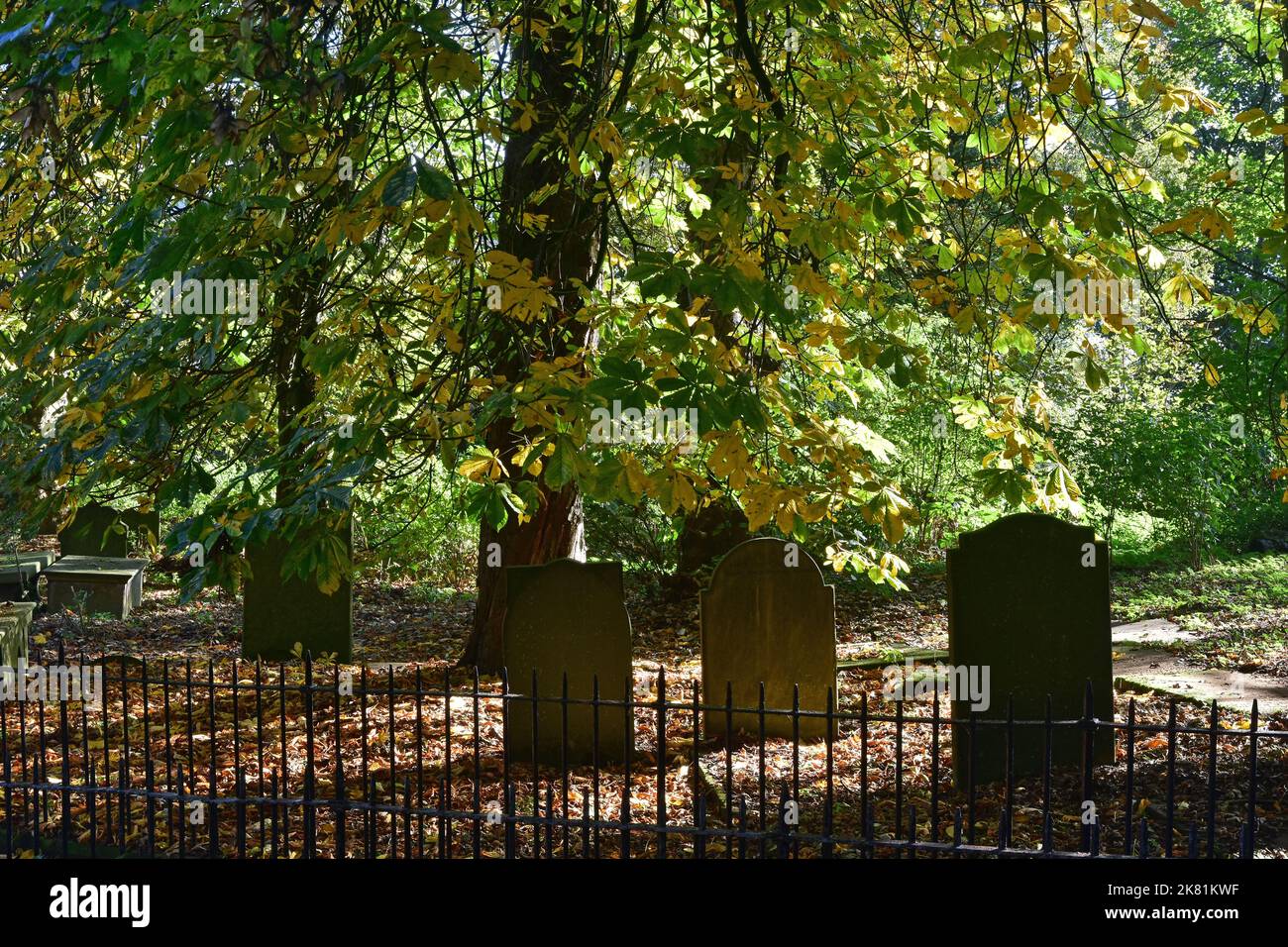 Herbstfarben, in Sonnenschein, Haworth Parsonage Friedhof, West Yorkshire Stockfoto
