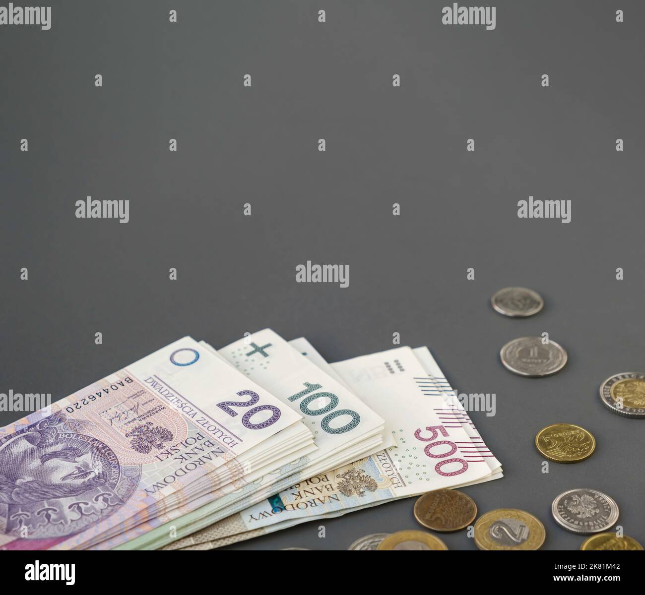 Polnisches Bargeld Zloty kopieren Raum Finanzkonzept. Bargeld ist Müll. Stockfoto