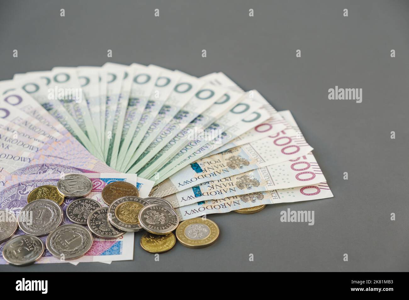 Polnisches Geld. Polnische Banknoten und Münzen PLN. Finanzkonzept. Nahaufnahme verschiedener Geldmittel. Speicherplatz kopieren. Stockfoto