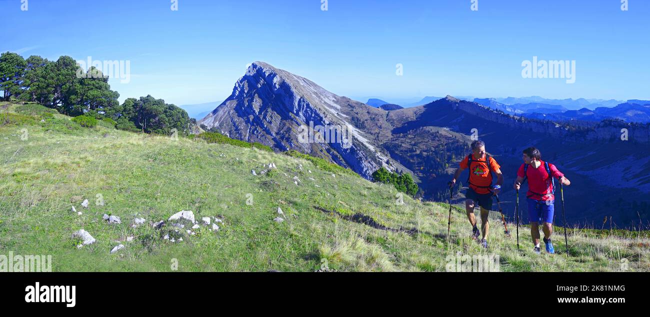 Frankreich, Isere (38) Naturpark von Chartreuse, auf die Spitze des Berges genannt La Sure Stockfoto