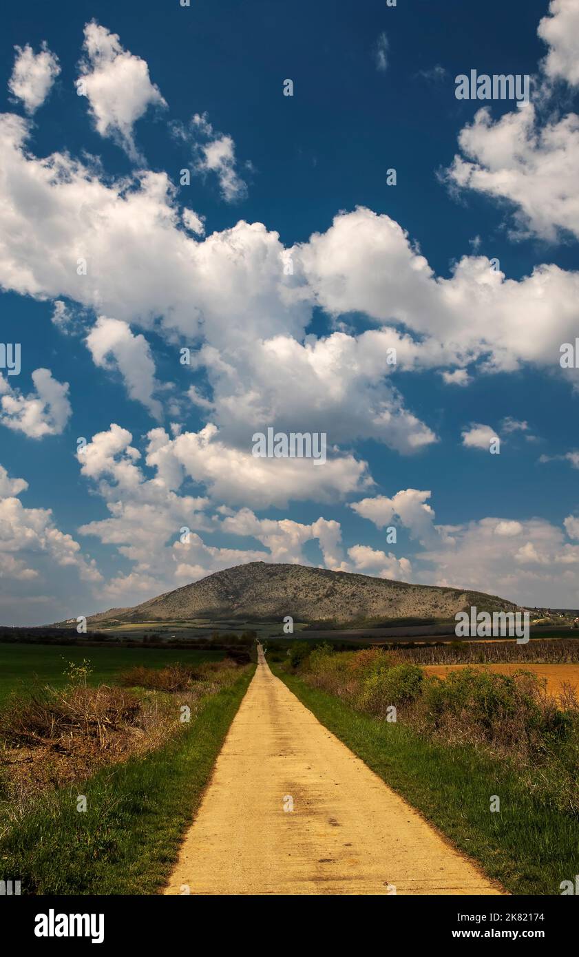 Die Straße führt zum Szarsomlyo Berg bei Nagyharsany und Villany in Ungarn Stockfoto