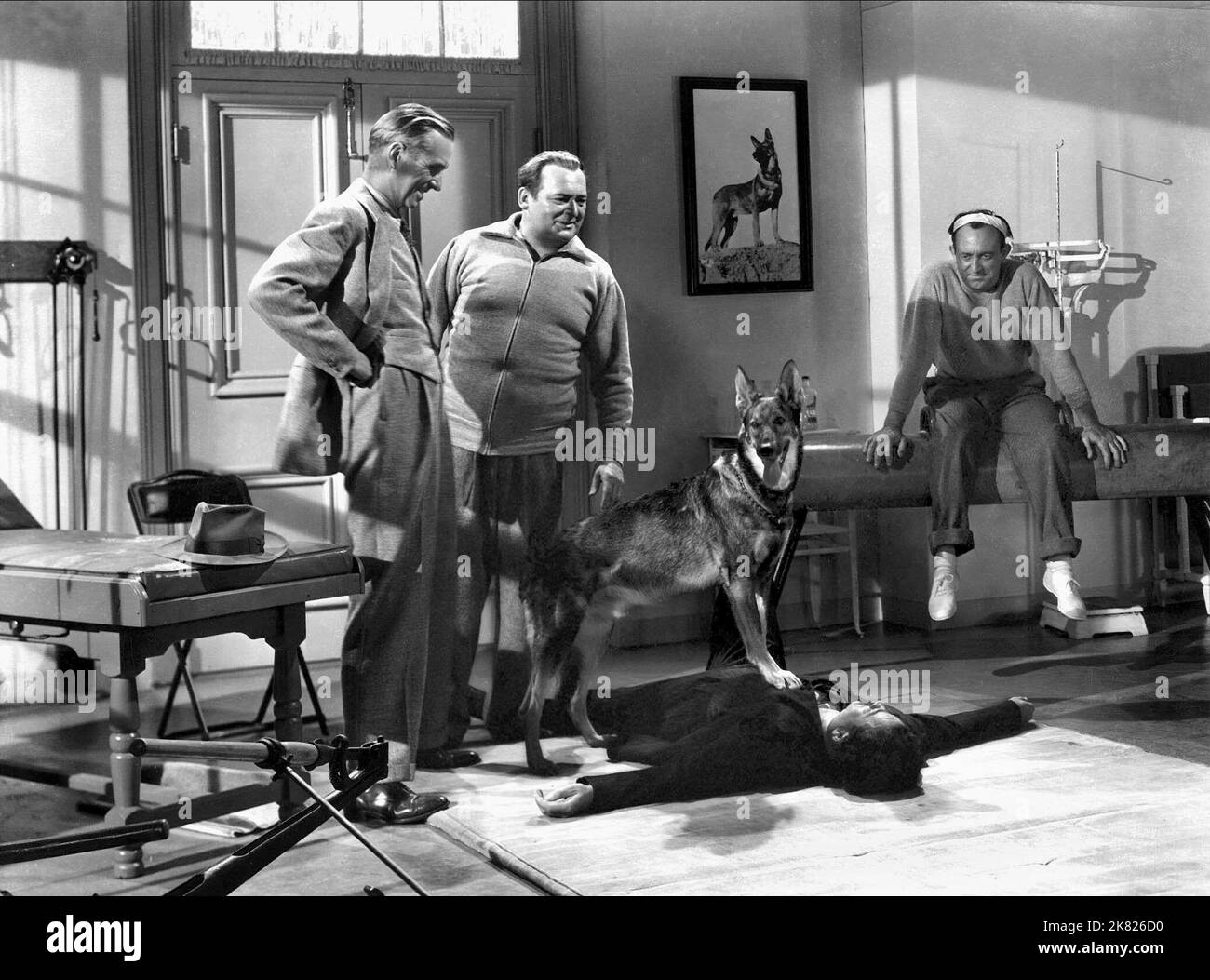 Edward Arnold & Allen Jenkins Film: Eyes In The Night (1941) Charaktere: Duncan 'Mac' Maclain & Marty Regie: Fred Zinnemann 16. Oktober 1942 **WARNUNG** Dieses Foto ist nur für redaktionelle Zwecke bestimmt und unterliegt dem Copyright von MGM und/oder dem von der Film- oder Produktionsfirma beauftragten Fotografen und kann nur durch Publikationen im Zusammenhang mit der Bewerbung des oben genannten Films reproduziert werden. Eine obligatorische Gutschrift an MGM ist erforderlich. Der Fotograf sollte auch bei Bekanntwerden des Fotos gutgeschrieben werden. Ohne schriftliche Genehmigung der Film Company kann keine kommerzielle Nutzung gewährt werden. Stockfoto